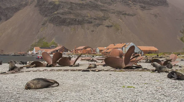 Vieja Estación Ballenera Tormenta Georgia Del Sur —  Fotos de Stock