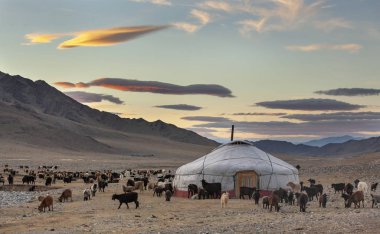 Batı Moğolistan etrafında Yaks ile kazak göçebe ev