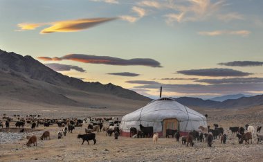 Batı Moğolistan etrafında Yaks ile kazak göçebe ev