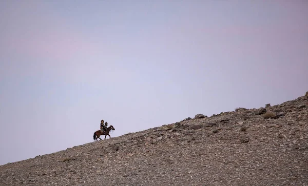 Баян Ульгії Монголія Вересня 2015 Казахський Орел Мисливець Своїм Орлом — стокове фото