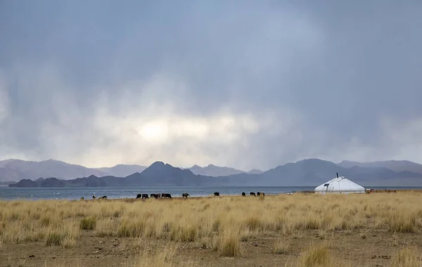 Yurta Paesaggio Mongolia Occidentale Sotto Cielo Nuvoloso — Foto Stock