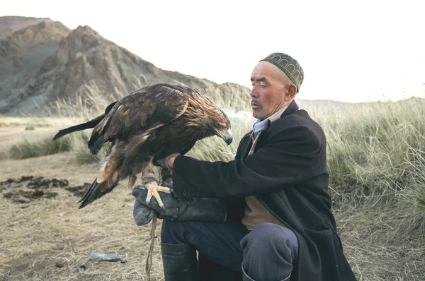 Баян Ulgii Монголії Жовтня 2015 Kazak Орел Мисливець Годування Ласки — стокове фото