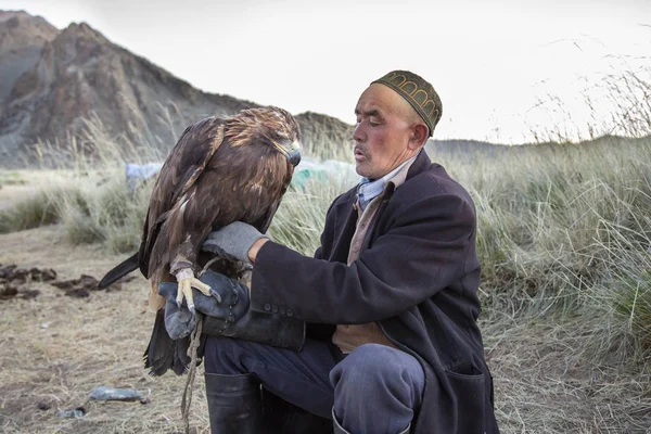 Bayan Ulgii Mongoliet Oktober 2015 Kazakiska Eagle Hunter Utfodring Och — Stockfoto