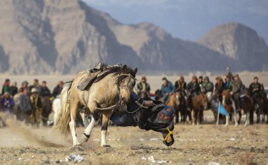 Bayan Ulgii, Moğolistan - 3 Ekim 2015: Moğol göçebe adam ata