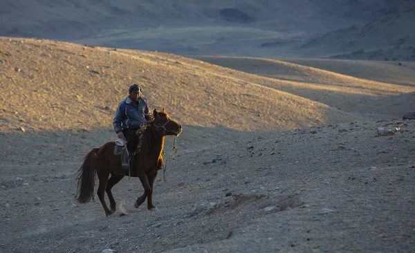 Bayan Ulgii Mongolie Octobre 2015 Cavalier Dans Paysage Mongolie Occidentale — Photo