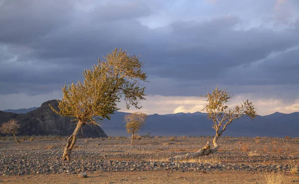 Живописный Пейзаж Западной Монголии Облачным Небом — стоковое фото