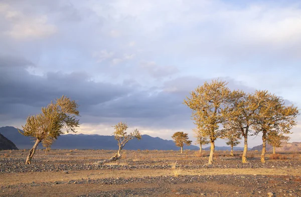 Landschaft Der Westlichen Mongolei Unter Wolkenverhangenem Himmel — Stockfoto