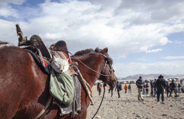 kartal avcı eyer çanta Gümüş tilki eğitim kartal yem olarak kullanılmak üzere