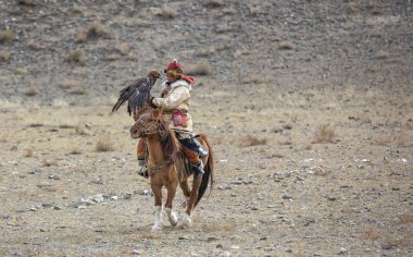 Bayan Ulgii, Moğolistan, 3 Ekim 2015: Moğol kartal avcısı Batı Moğolistan'ın arazisinde kartalını eğitiyor