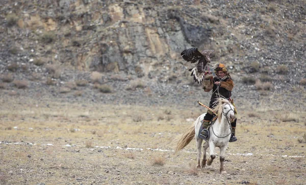 Bayan Ulgii Mongolie Octobre 2015 Chasseur Aigle Mongolien Entraîne Son — Photo