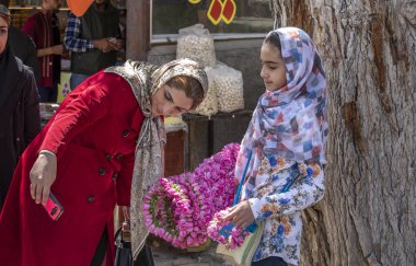 Niasar, İran - 25 Nisan 2019: Çiçekli İranlı genç kız, gül toplama mevsiminde yoldan geçenlere satıyor