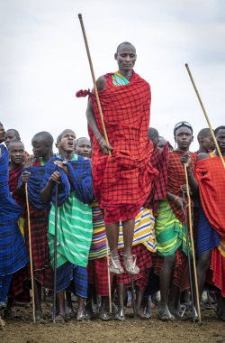 Aynı, Tanzanya, 5 Haziran, 2019: Maasai savaşçılar satırının önünde omuzlarını sallayarak etkilemek için giyinmiş genç Maasai kadın