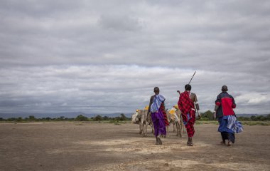 Same, Tanzanya-7 Haziran, 2019: Maasai insanlar Savannah seyahat akarsu su getirmek için
