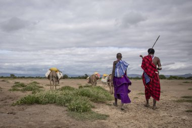Same, Tanzanya-7 Haziran, 2019: Maasai insanlar Savannah seyahat akarsu su getirmek için