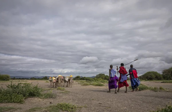 Танзанія Червня 2019 Масаї Люди Подорожують Савани Вилучення Води Потоку — стокове фото