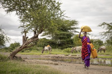 Aynı, Tanzanya, 8 Haziran 2019: Maasai kadın çamaşırlarını yıkamak ve içme suyu toplamak için çamurlu bir dere geliyor