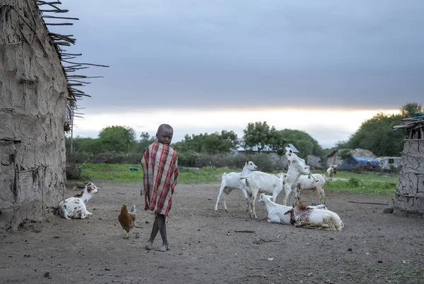 タンザニア 2019年6月4日 マセイの子供が家の外で遊ぶ — ストック写真