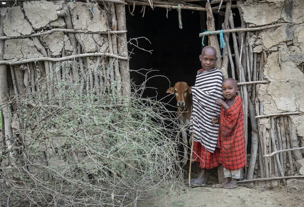 Mismo Tanzania Junio 2019 Niños Masai Puerta Casa Boma Pueblo — Foto de Stock