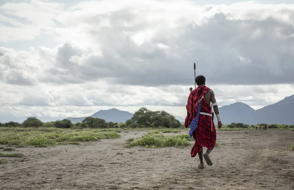 タンザニア 2019年6月4日 サバンナを歩くマサライの男 — ストック写真