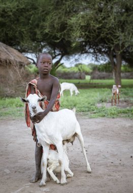 Aynı, Tanzanya, 5 Haziran 2019: Maasai çocuk evlerinden kaçan bebek keçitutmak