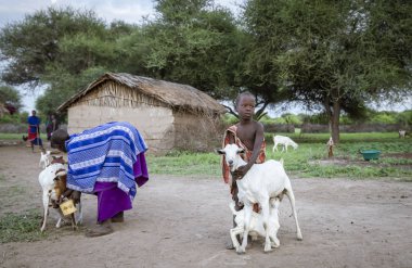 Aynı, Tanzanya, 4 Haziran 2019: Maasai çocuk keçi süt annesi yardım