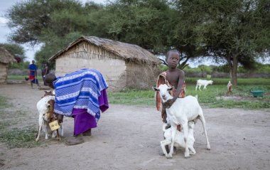 Aynı, Tanzanya, 4 Haziran 2019: maasai ailesi keçileriyle birlikte evinin önünde