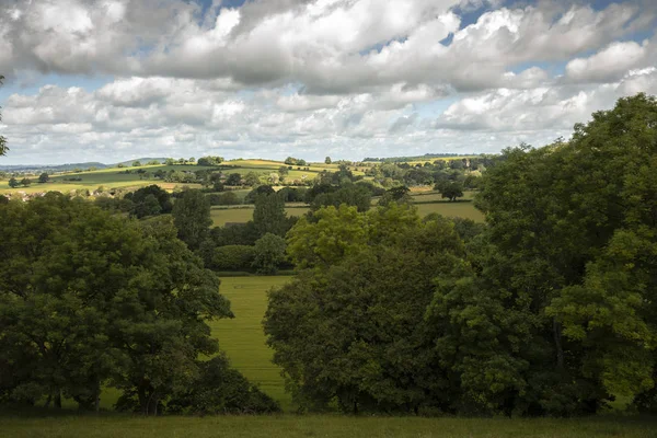 İngiltere güzel countriside, Frontmell, Shaftesbury Magna köy