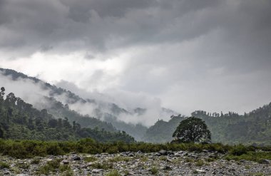 Babaji Aşram'ın arka sideki Haydahan Vadisi'nin doğası