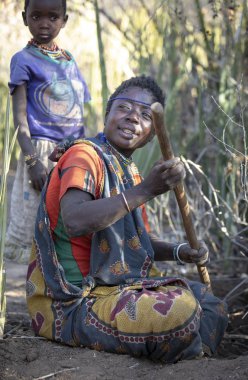 Eyasi Gölü, Tanzanya, 12 Eylül 2019: Hadzabe kadın olaylı bir yemek için yumru bitkileri dağılışı