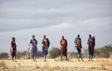 Ngorongoro, Tanzanya, 10 Eylül 2019: Kuzey Tanzanya'nın bir arazisinde maasiai savaşçıları