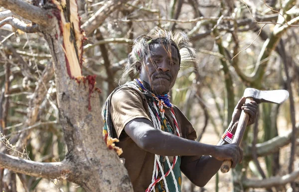 Eyasi Tanzanie Září 2019 Hadzabí Muž Který Používá Svou Sekyru — Stock fotografie