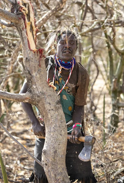 Eyasi Gölü Tanzanya Eylül 2019 Hadzabe Adam Baltasını Kullanarak Ağaçta — Stok fotoğraf