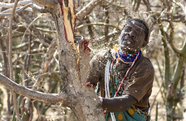 Eyasi Gölü Tanzanya Eylül 2019 Hadzabe Adam Baltasını Kullanarak Ağaçta — Stok fotoğraf