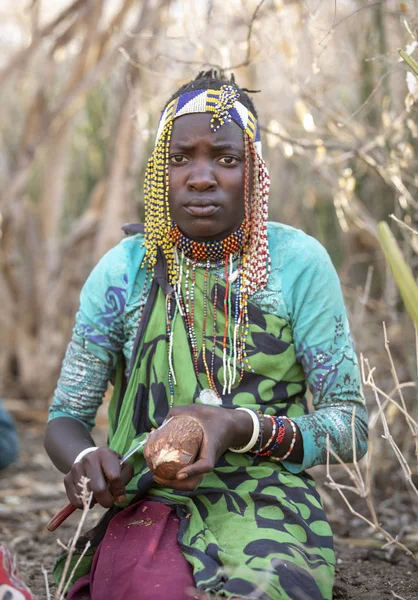 Lake Eyasi Tanzania Septiembre 2019 Hadzabe Woman Diffing Tuber Plants — Foto de Stock