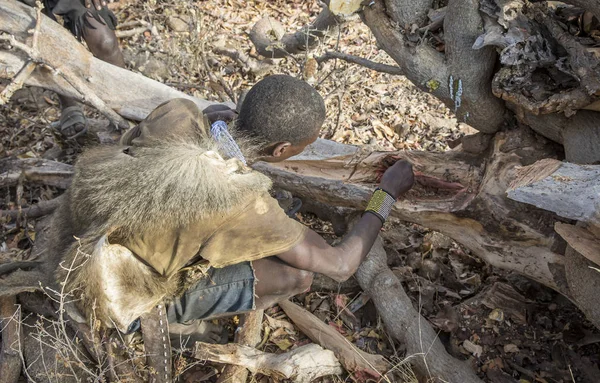 Озеро Эяси Танзания Сентября 2019 Года Человек Хадзабе Ищет Мед — стоковое фото