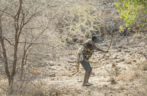 坦桑尼亚埃亚西湖 2019年9月11日 哈扎贝人狩猎鸟类 — 图库照片