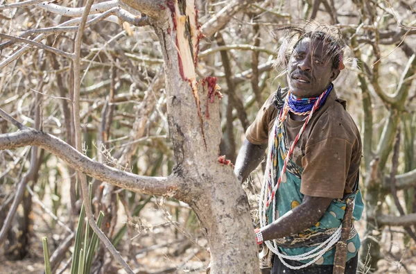 Eyasi Gölü Tanzanya Eylül 2019 Hadzabe Adam Bir Ağaçta Bal — Stok fotoğraf