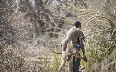 Eyasi Gölü, Tanzanya, 11 Eylül 2019: Kuzey Tanzanya'nın doğasında Hadzabe avcısı