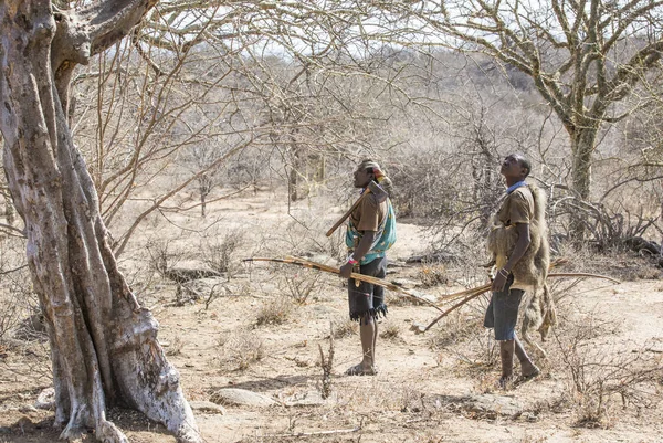 탄자니아 에야시 2019년 11일 탄자니아 북부의 하자베 사냥꾼 — 스톡 사진