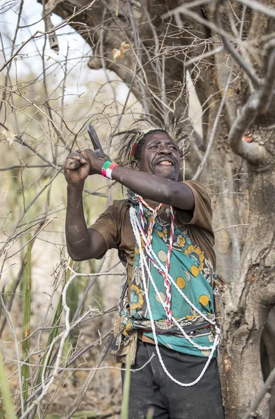 Eyasi Tanzanie Září 2019 Hadzabí Muž Hledaje Med Stromě — Stock fotografie