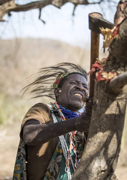 Eyasi Tanzanie Září 2019 Hadzabí Muž Hledaje Med Stromě — Stock fotografie