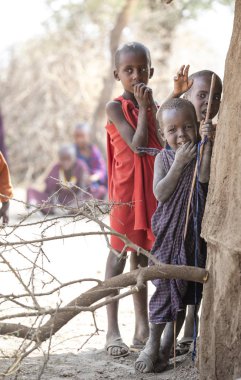 Arusha, Tanzanya, 7 Eylül 2019: maasai çocuk evinde boma