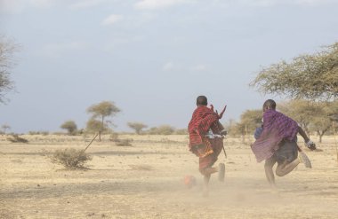 Arusha, Tanzanya, 7 Eylül 2019: Maasai savaşçıları savannah'da futbol oynuyor