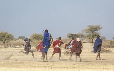 Arusha, Tanzanya, 7 Eylül 2019: Maasai savaşçıları savannah'da futbol oynuyor