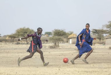 Arusha, Tanzanya, 7 Eylül 2019: Maasai savaşçıları savannah'da futbol oynuyor