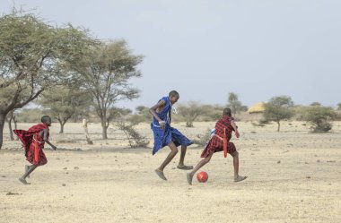 Arusha, Tanzanya, 7 Eylül 2019: Maasai savaşçıları savannah'da futbol oynuyor