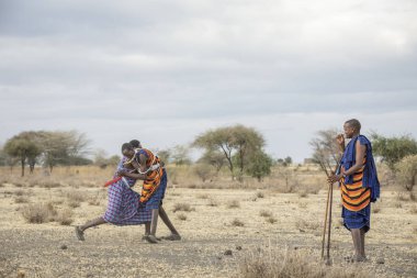 Arusha, Tanzanya, 7 Eylül 2019: maasai savaşçıları savanada güreşti