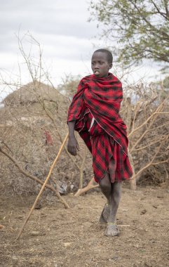 Arusha, Tanzanya, 7 Eylül 2019: kırmızı kıyafetiyle genç maasai, dinleniyor