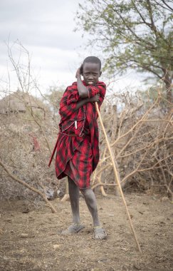 Arusha, Tanzanya, 7 Eylül 2019: kırmızı kıyafetiyle genç maasai, dinleniyor