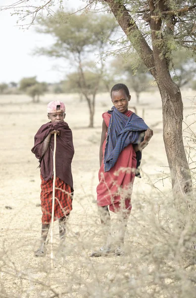 坦桑尼亚阿鲁沙 2019年9月7日 马西男孩在家乡外 在草原的风景 — 图库照片
